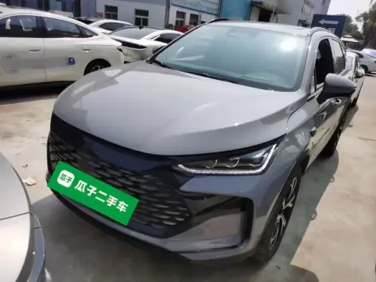BYD Tang New Energy 2025 (5900 км)