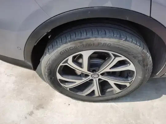 BYD Tang New Energy 2025 (5900 км)