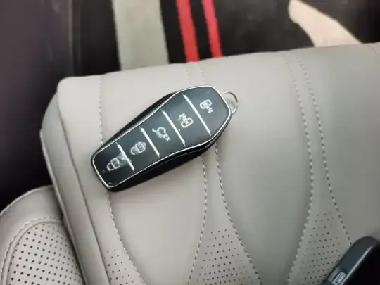 BYD Tang New Energy 2025 (5900 км)