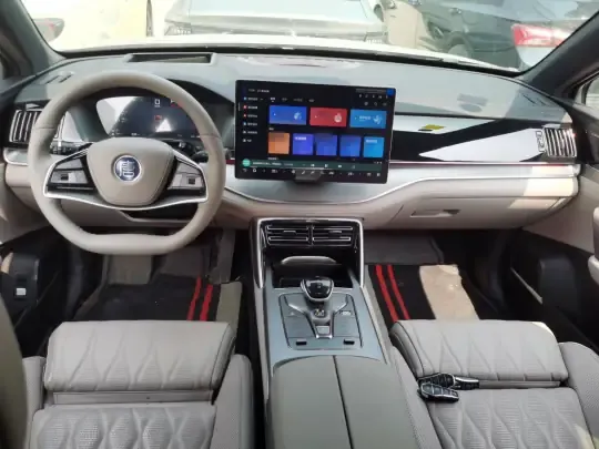 BYD Tang New Energy 2025 (5900 км)