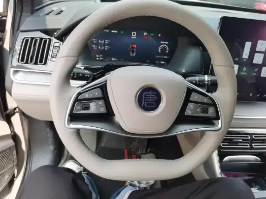 BYD Tang New Energy 2025 (5900 км)