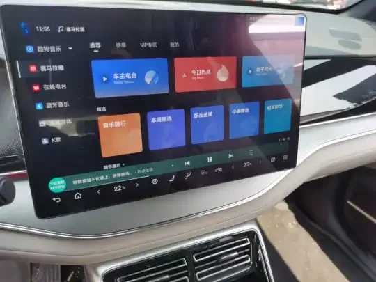 BYD Tang New Energy 2025 (5900 км)
