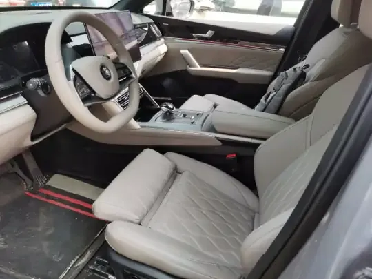 BYD Tang New Energy 2025 (5900 км)