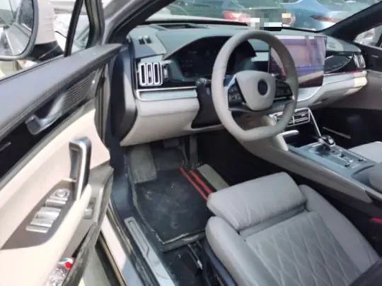 BYD Tang New Energy 2025 (5900 км)