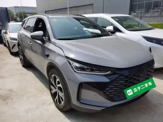 BYD Tang New Energy 2025 (5900 км)