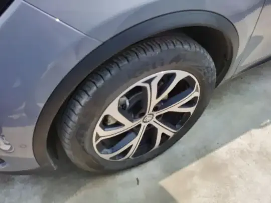 BYD Tang New Energy 2025 (5900 км)