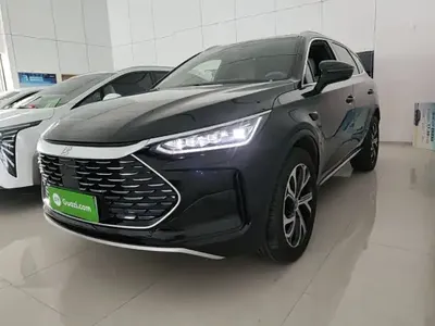 BYD Tang New Energy 2025 (3000 км)