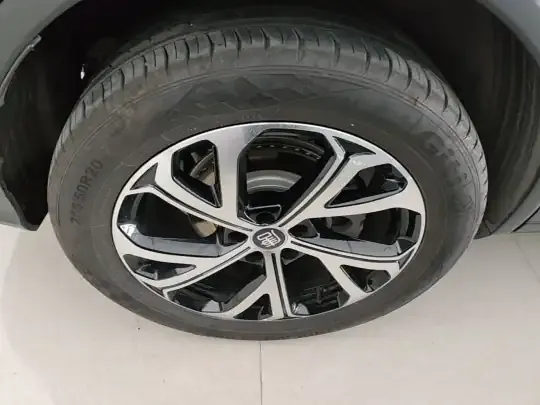 BYD Tang New Energy 2025 (3000 км)