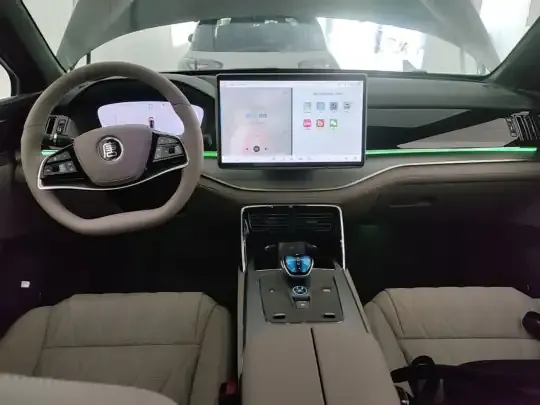 BYD Tang New Energy 2025 (3000 км)