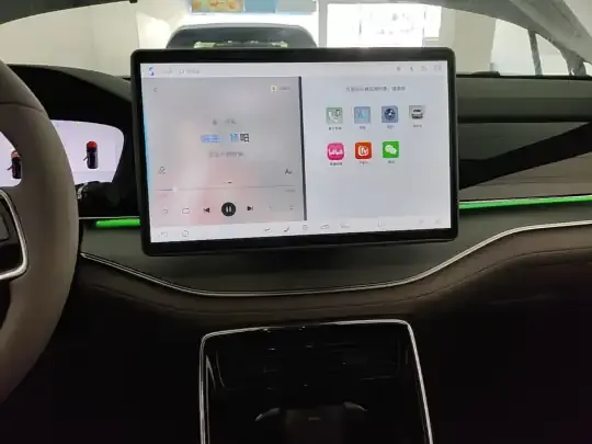 BYD Tang New Energy 2025 (3000 км)