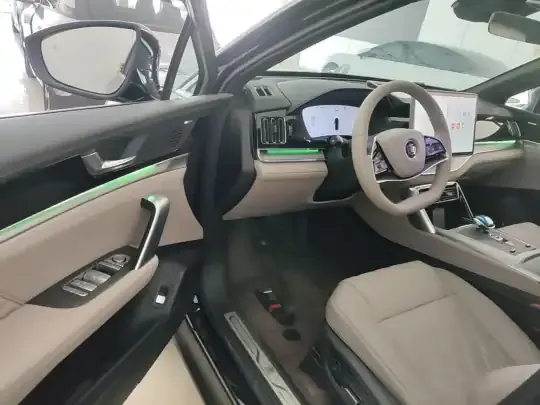BYD Tang New Energy 2025 (3000 км)
