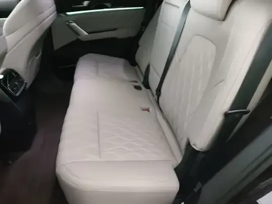 BYD Tang New Energy 2025 (3000 км)