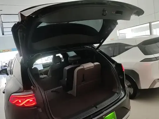 BYD Tang New Energy 2025 (3000 км)