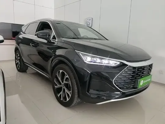BYD Tang New Energy 2025 (3000 км)