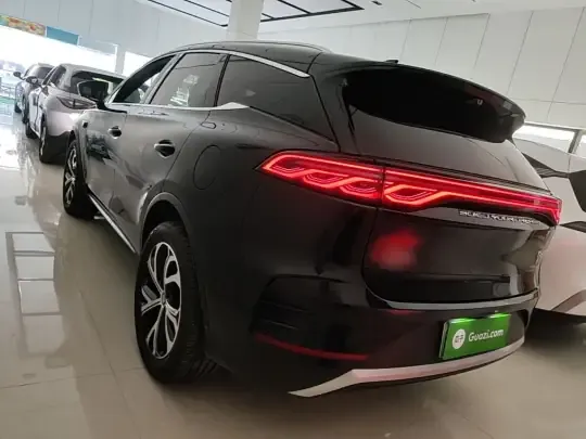 BYD Tang New Energy 2025 (3000 км)
