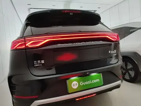 BYD Tang New Energy 2025 (3000 км)