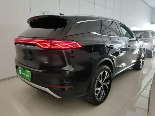 BYD Tang New Energy 2025 (3000 км)