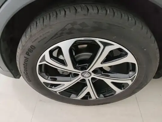 BYD Tang New Energy 2025 (3000 км)