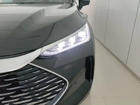 BYD Tang New Energy 2025 (3000 км)