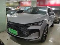 BYD Tang New Energy 2025 (32400 км)