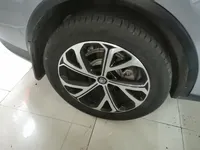 BYD Tang New Energy 2025 (32400 км)