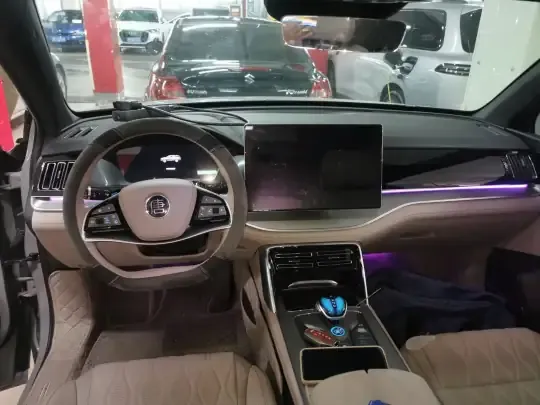 BYD Tang New Energy 2025 (32400 км)