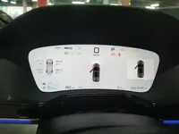 BYD Tang New Energy 2025 (32400 км)