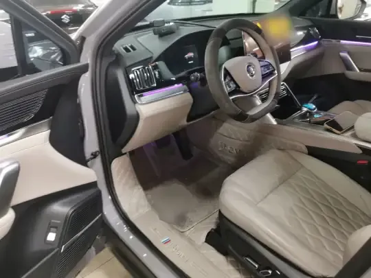 BYD Tang New Energy 2025 (32400 км)