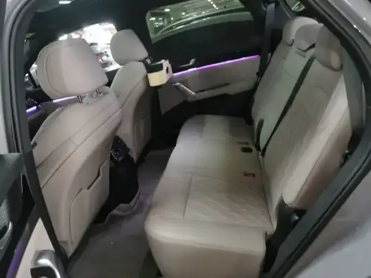BYD Tang New Energy 2025 (32400 км)