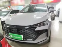 BYD Tang New Energy 2025 (32400 км)