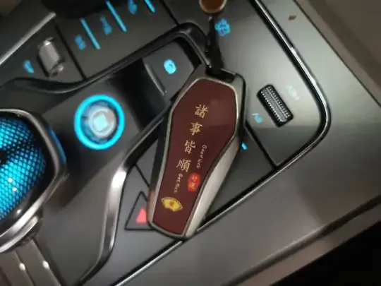 BYD Tang New Energy 2025 (32400 км)
