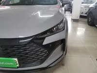 BYD Tang New Energy 2025 (32400 км)