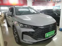 BYD Tang New Energy 2025 (32400 км)