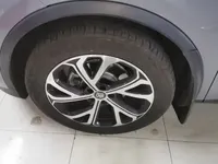 BYD Tang New Energy 2025 (32400 км)