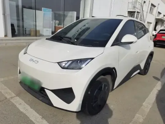 BYD Seagull 2025 (9000 км)