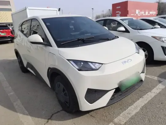BYD Seagull 2025 (9000 км)