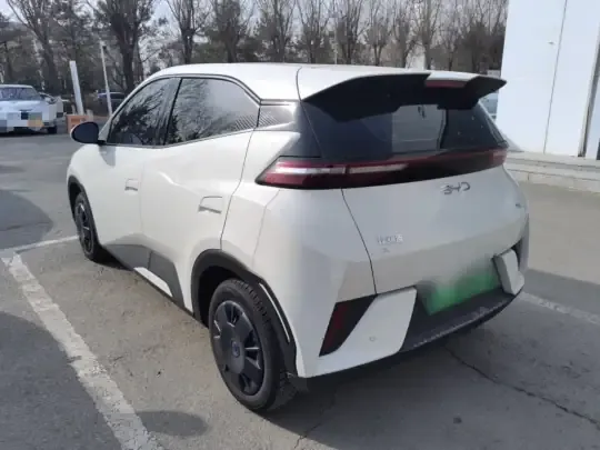 BYD Seagull 2025 (9000 км)