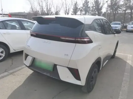 BYD Seagull 2025 (9000 км)