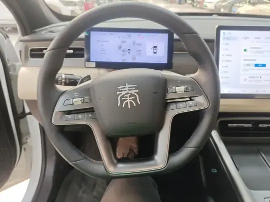 BYD Qin PLUS 2025 (1900 км)