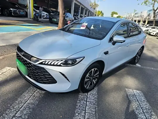 BYD Qin PLUS 2025 (3600 км)