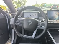 BYD Qin PLUS 2025 (3600 км)