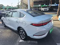 BYD Qin PLUS 2025 (3600 км)