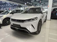 BYD Yuan UP 2025 (9100 км)