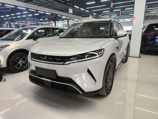 BYD Yuan UP 2025 (9100 км)