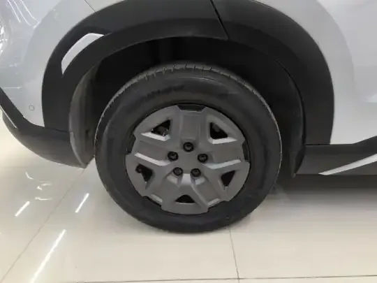 BYD Yuan UP 2025 (9100 км)