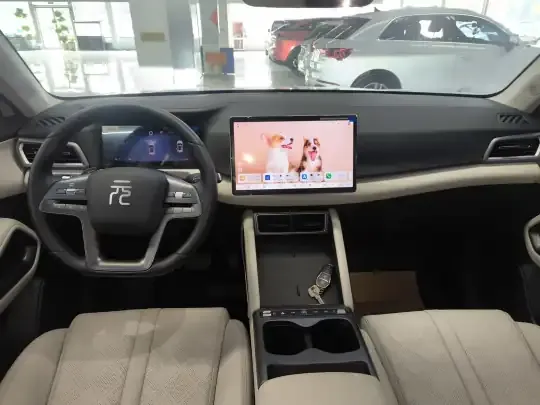 BYD Yuan UP 2025 (9100 км)