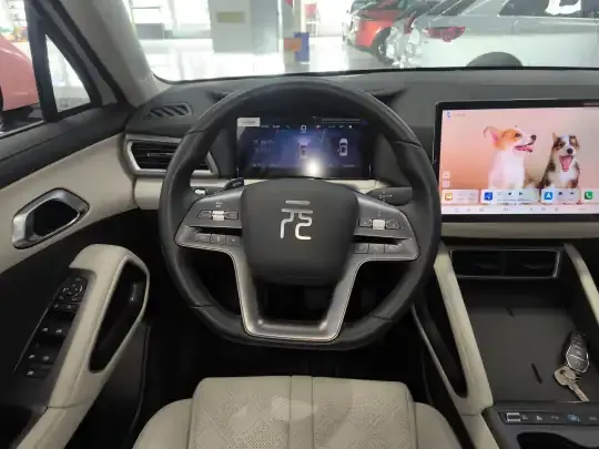 BYD Yuan UP 2025 (9100 км)