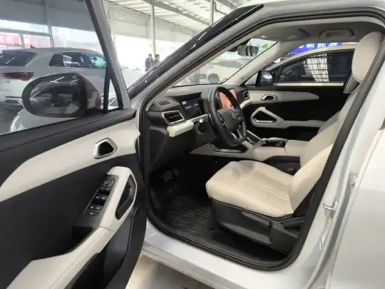 BYD Yuan UP 2025 (9100 км)
