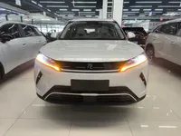 BYD Yuan UP 2025 (9100 км)