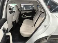 BYD Yuan UP 2025 (9100 км)